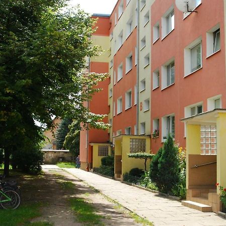 Mieszkanie Jelitkowo Γκντανσκ Εξωτερικό φωτογραφία